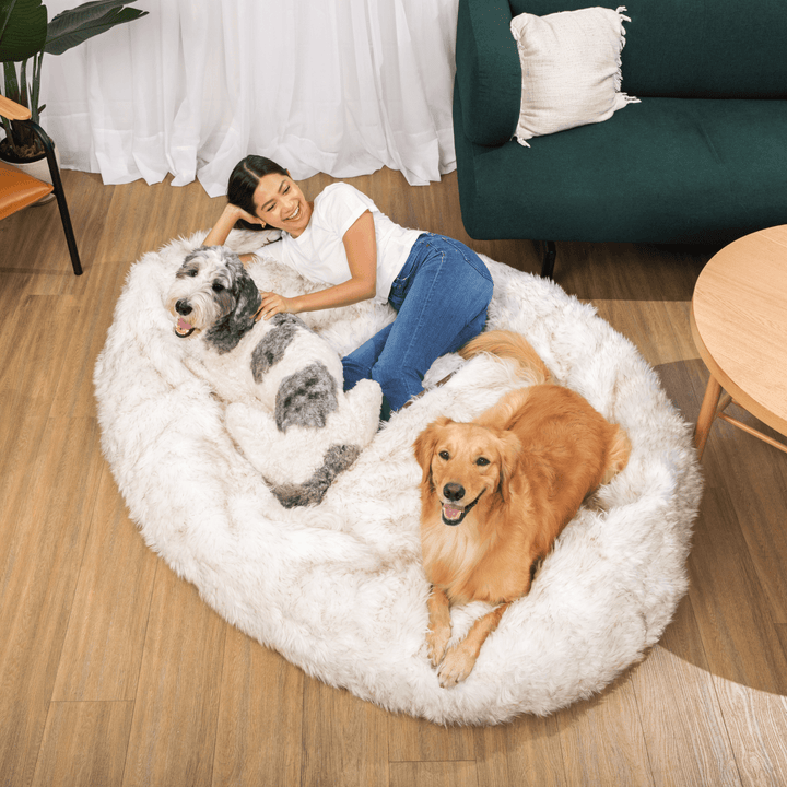 PupCloud™ Human-Size Faux Fur Memory Foam Dog Bed - White with Brown Accents - - by Paw.com