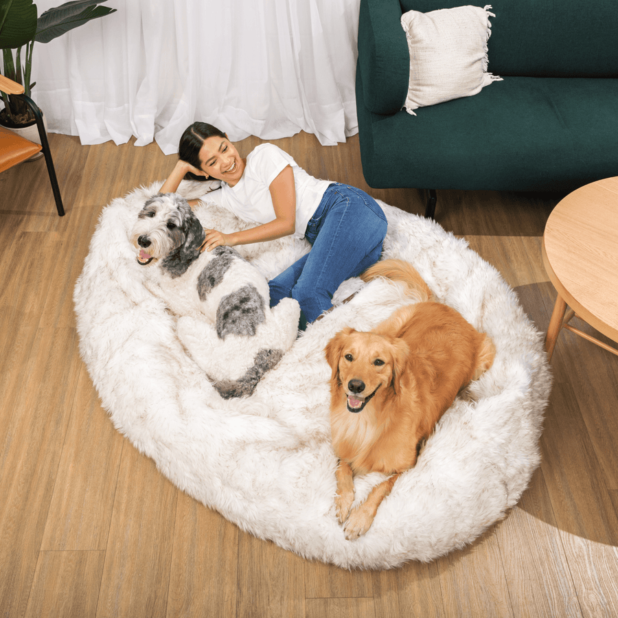 PupCloud™ Human-Size Faux Fur Memory Foam Dog Bed - White with Brown Accents - - by Paw.com