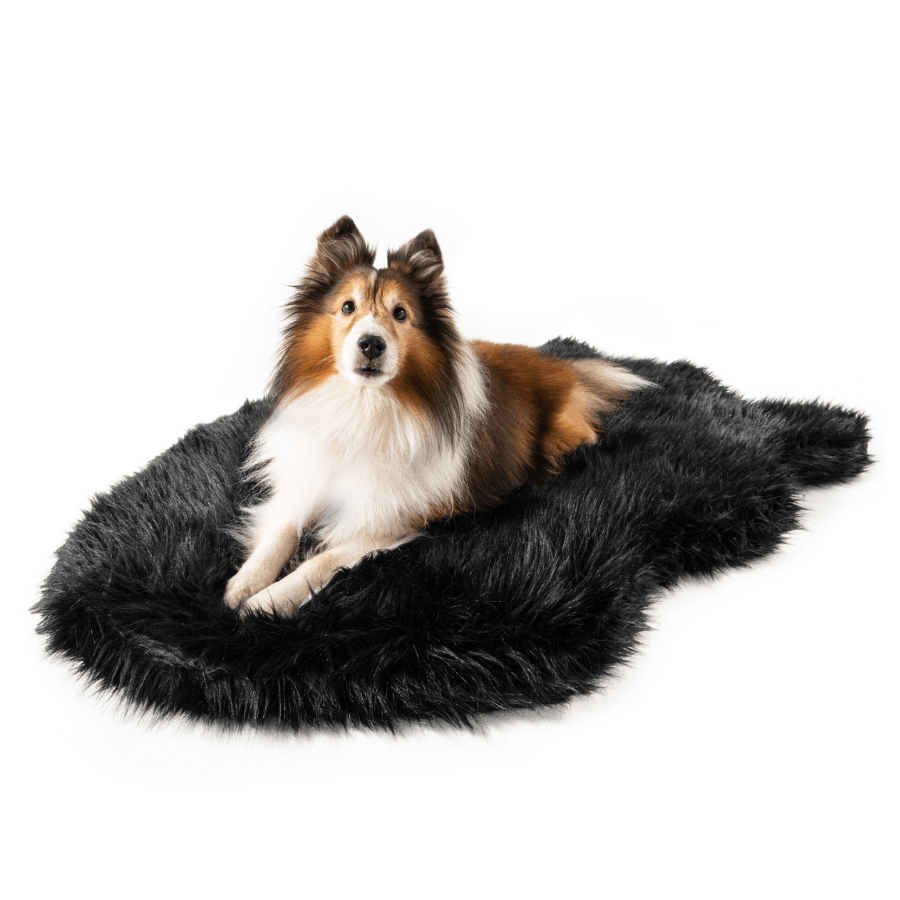 PupRug by Paw.com® Faux Fur Orthopedic Dog Bed - Curve Midnight Black - - Dog Beds by Paw.com