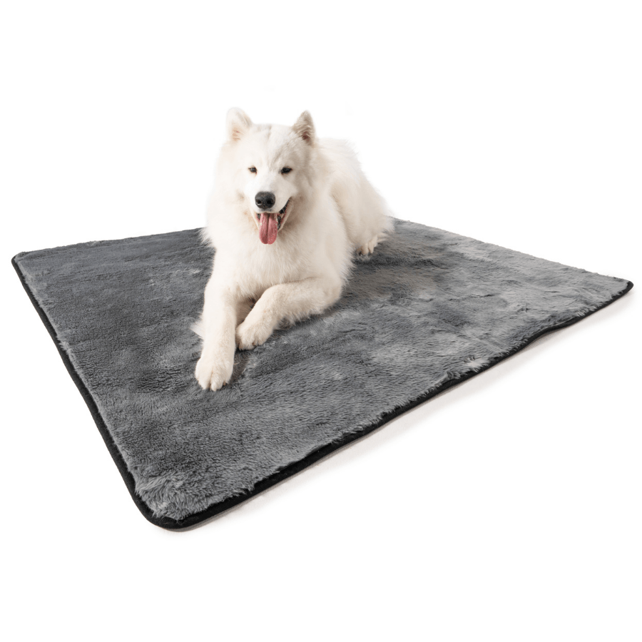 PupProtector™ Short Fur Waterproof Throw Blanket - Charcoal Grey - - Dog Blanket by Paw.com