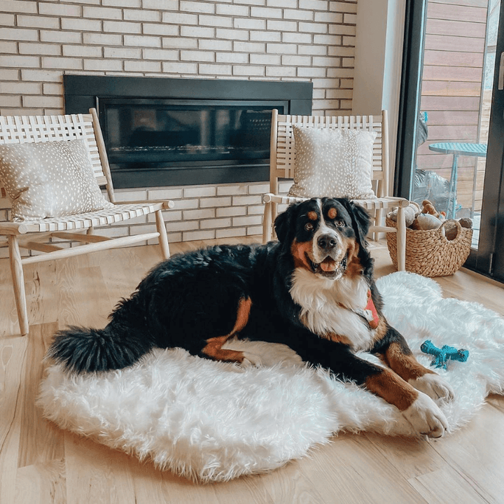 PupRug by Paw.com® Faux Fur Orthopedic Dog Bed - Curve Polar White - - Dog Beds by Paw.com