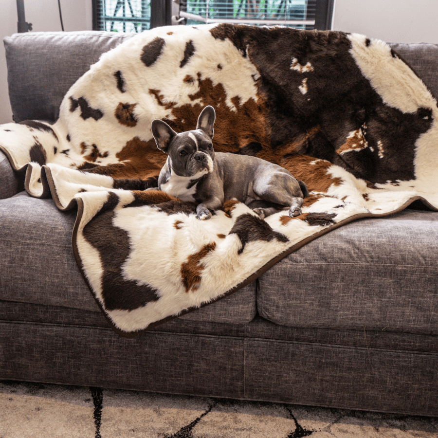 PupProtector™ Waterproof Throw Blanket - Brown Faux Cowhide - Original (60"L x 50"W) - Dog Blanket by Paw.com
