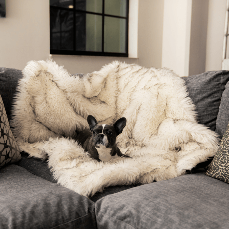 PupProtector™ Waterproof Throw Blanket - White with Brown Accents - - Dog Blanket by Paw.com