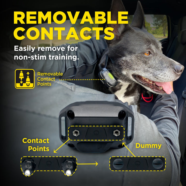 Dogtra 280X/200iQ Additional Receiver - - by Dogtra