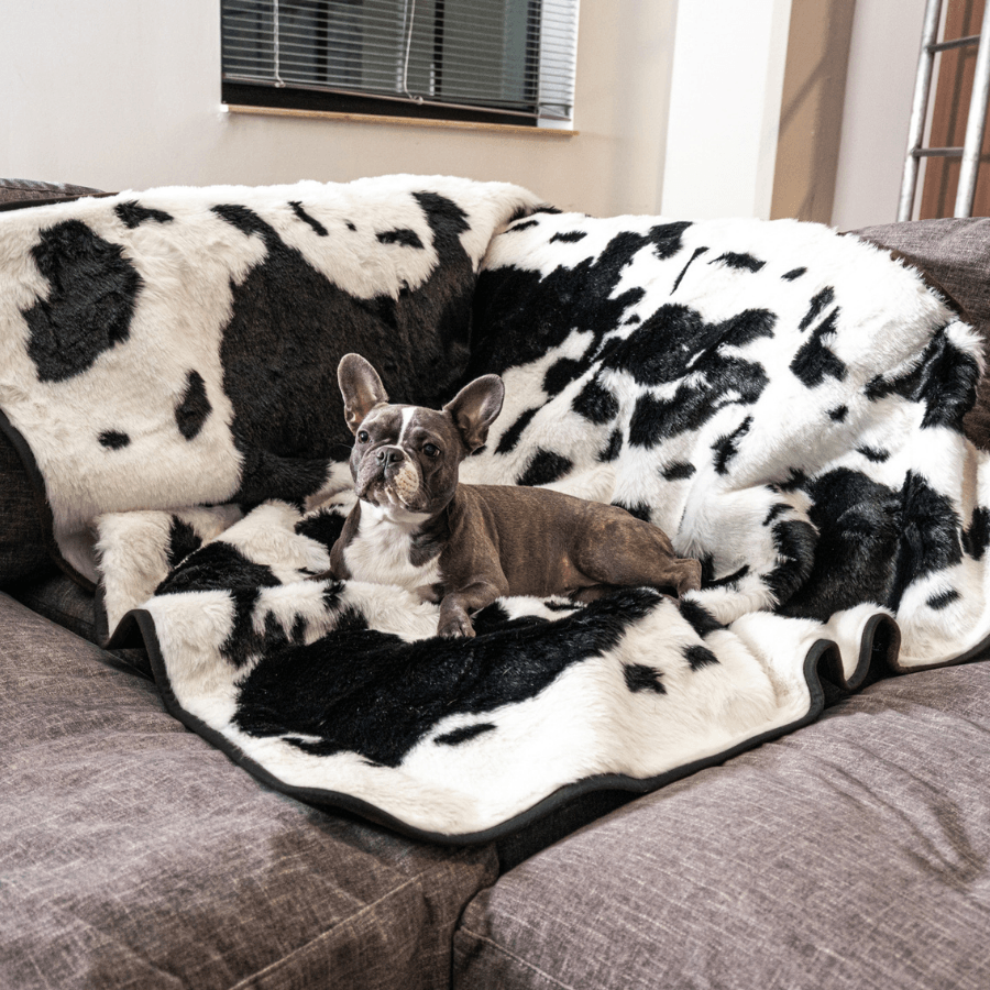 PupProtector™ Waterproof Throw Blanket - Black Faux Cowhide - Original (60"L x 50"W) - Dog Blanket by Paw.com