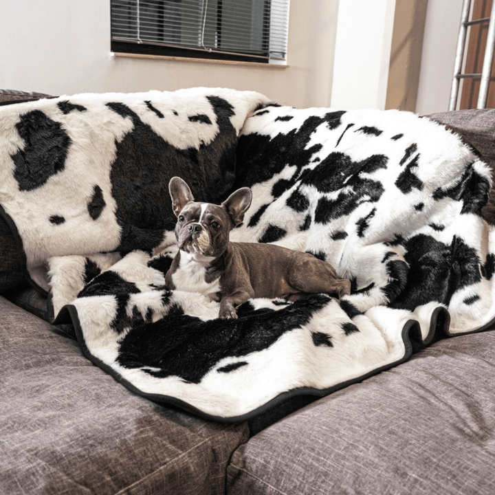 PupProtector™ Waterproof Throw Blanket - Black Faux Cowhide - Original (60"L x 50"W) - Dog Blanket by Paw.com
