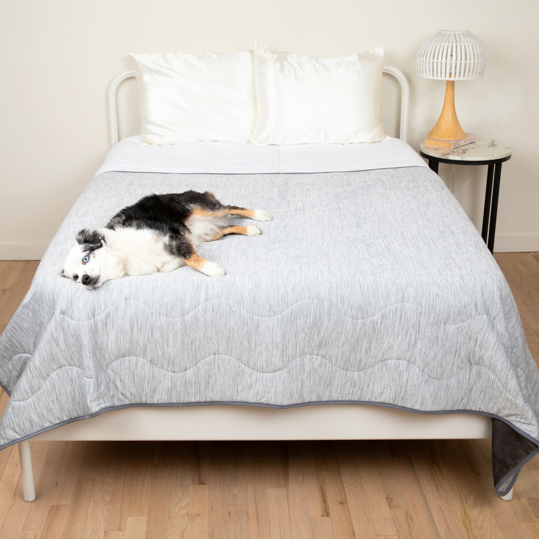PupChill™ Cooling Waterproof Blanket - Arctic Grey - - by Paw.com