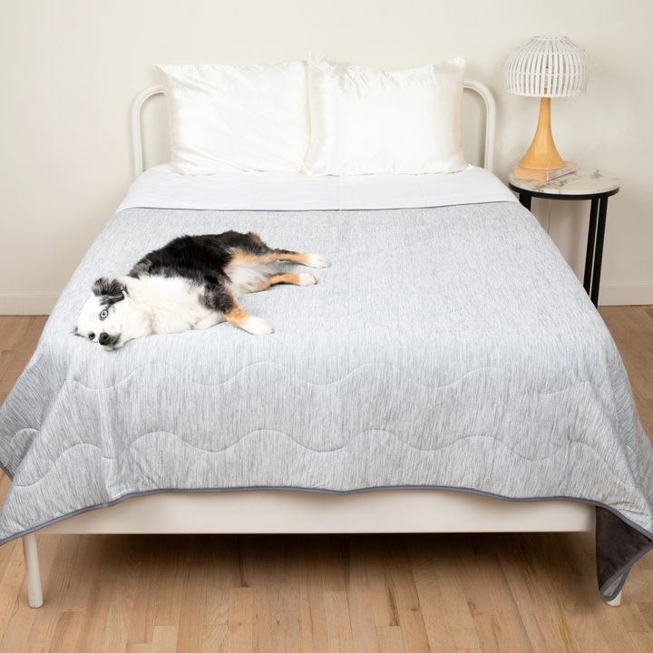 PupChill™ Cooling Waterproof Blanket - Arctic Grey - - by Paw.com