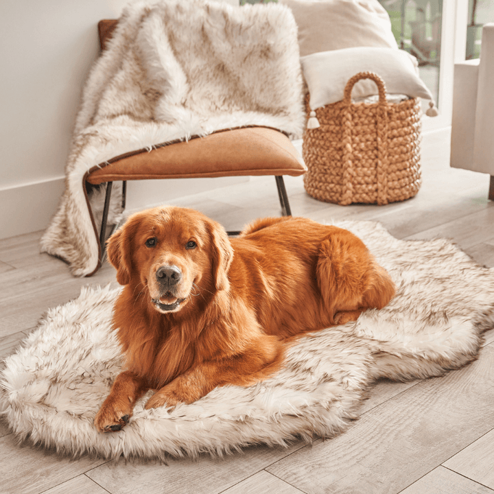PupRug by Paw.com® Faux Fur Orthopedic Dog Bed - Curve White with Brown Accents - - Dog Beds by Paw.com