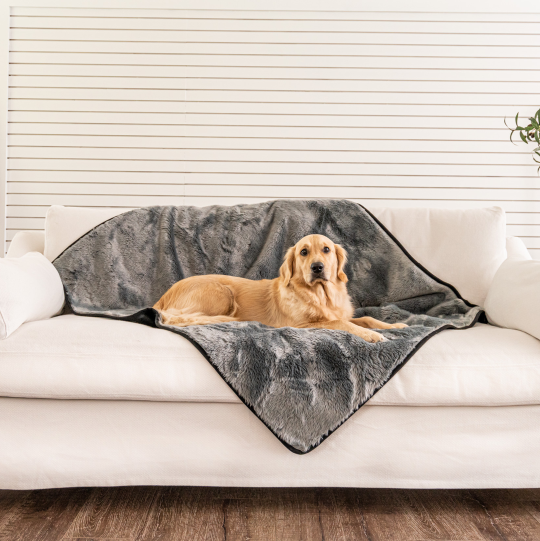 PupProtector™ Short Fur Waterproof Throw Blanket - Charcoal Grey - Original (60"L x 50"W) - Dog Blanket by Paw.com