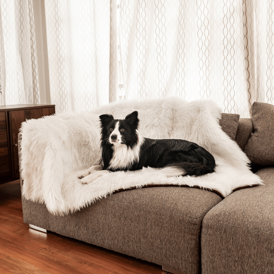 PupProtector™ Waterproof Throw Blanket - Polar White - Original (60"L x 50"W) - Dog Blanket by Paw.com