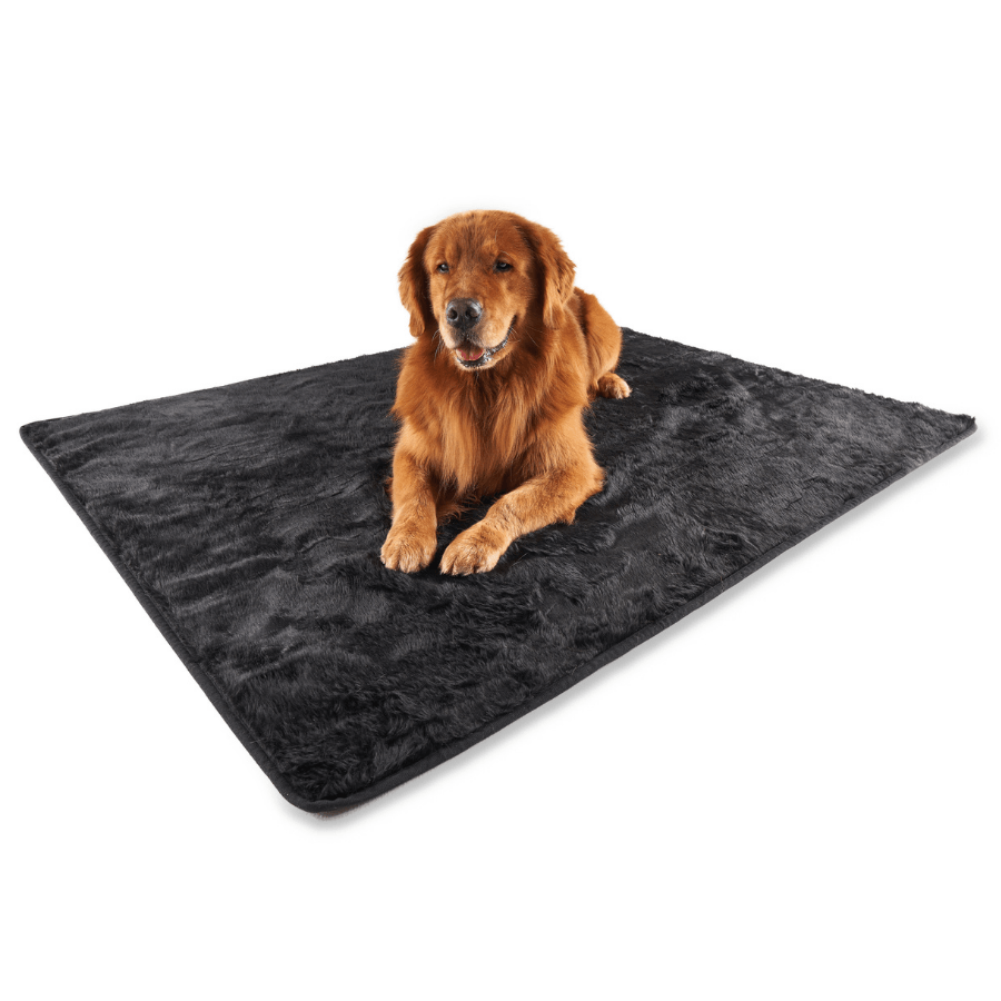 PupProtector™ Short Fur Waterproof Throw Blanket - Midnight Black - - Dog Blanket by Paw.com
