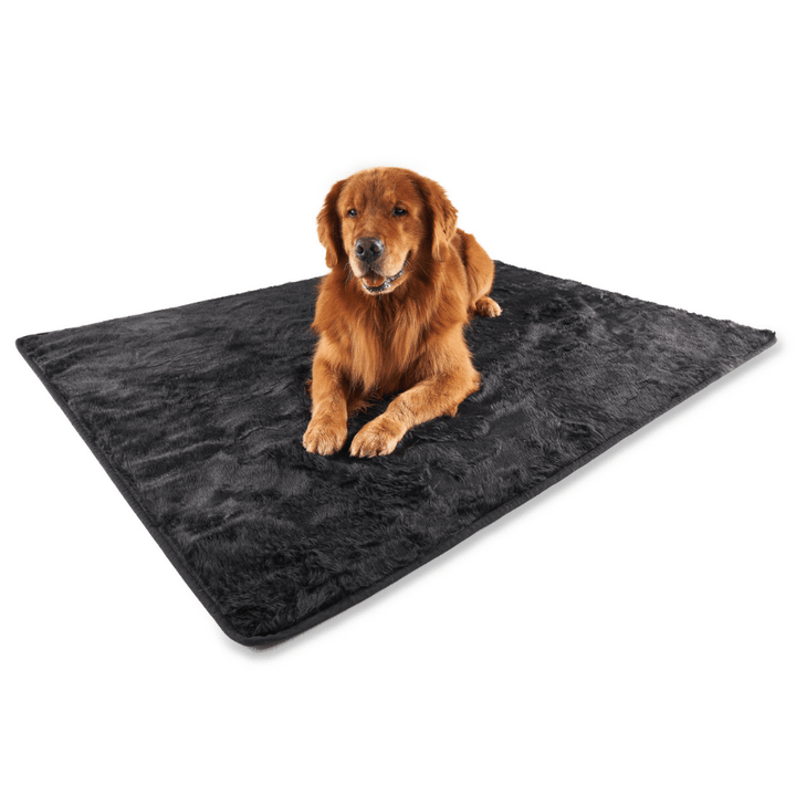 PupProtector™ Short Fur Waterproof Throw Blanket - Midnight Black - - Dog Blanket by Paw.com
