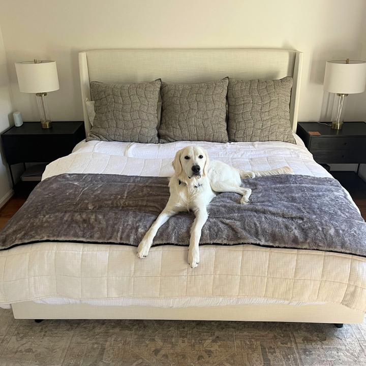 PupProtector™ Luxe Waterproof Bed Runner - Ultra Soft Chinchilla - - Dog Blanket by Paw.com