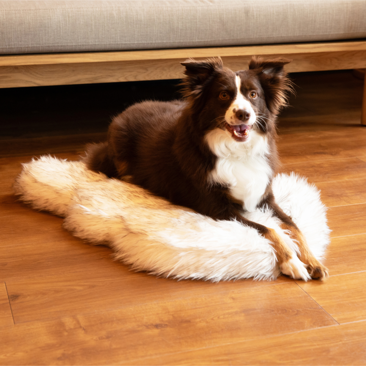 PupRug by Paw.com® Faux Fur Orthopedic Dog Bed - Curve White with Brown Accents - - Dog Beds by Paw.com