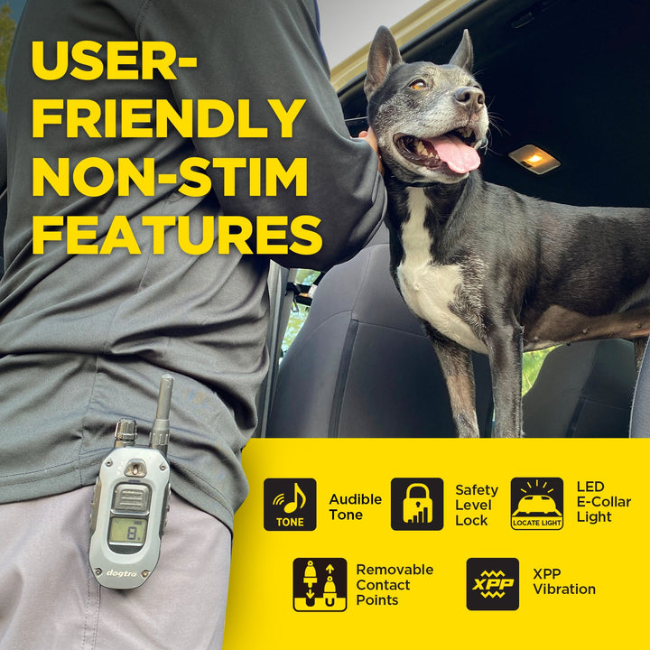 Dogtra 280X/200iQ Additional Receiver - - by Dogtra