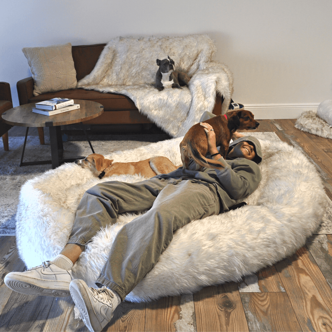 PupCloud™ Human-Size Faux Fur Memory Foam Dog Bed - White with Brown Accents - - by Paw.com