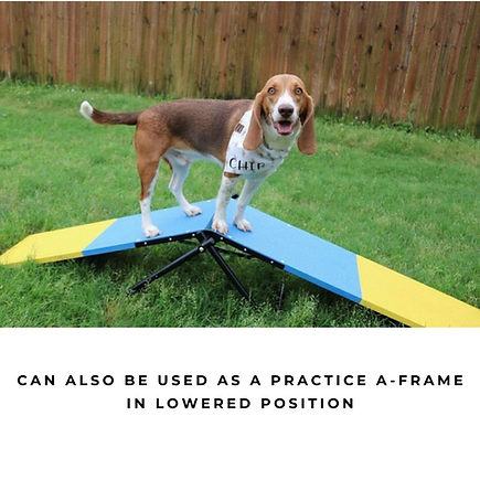 Better Sporting Dogs Practice See Saw | Dog Agility Teeter | Dog Agility Equipment