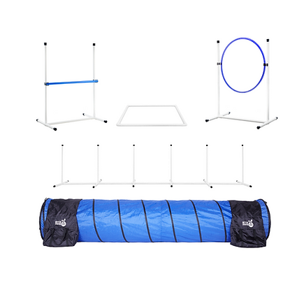 Better Sporting Dogs 5 Piece Complete Starter Agility Set for Dogs - - by Better Sporting Dogs