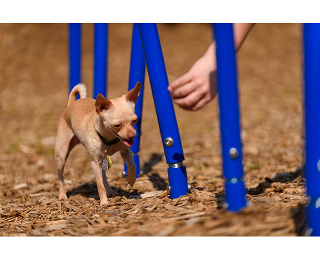 BarkPark Weave Posts - - by BarkPark