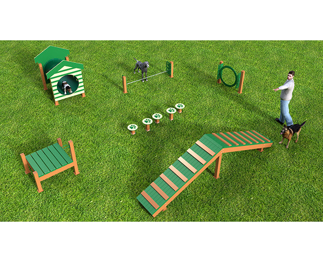 BarkPark Recycled Intermediate Kit - - by BarkPark