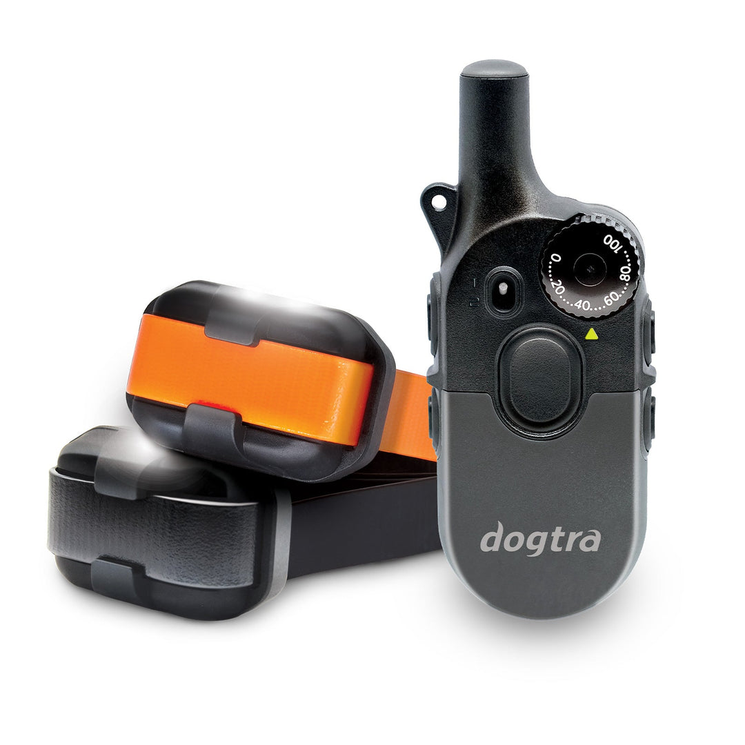 Dogtra 200iQ 2-DOG Unit - - by Dogtra