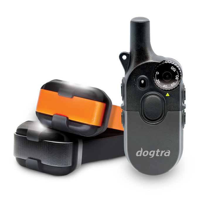 Dogtra 200iQ 2-DOG Unit - - by Dogtra