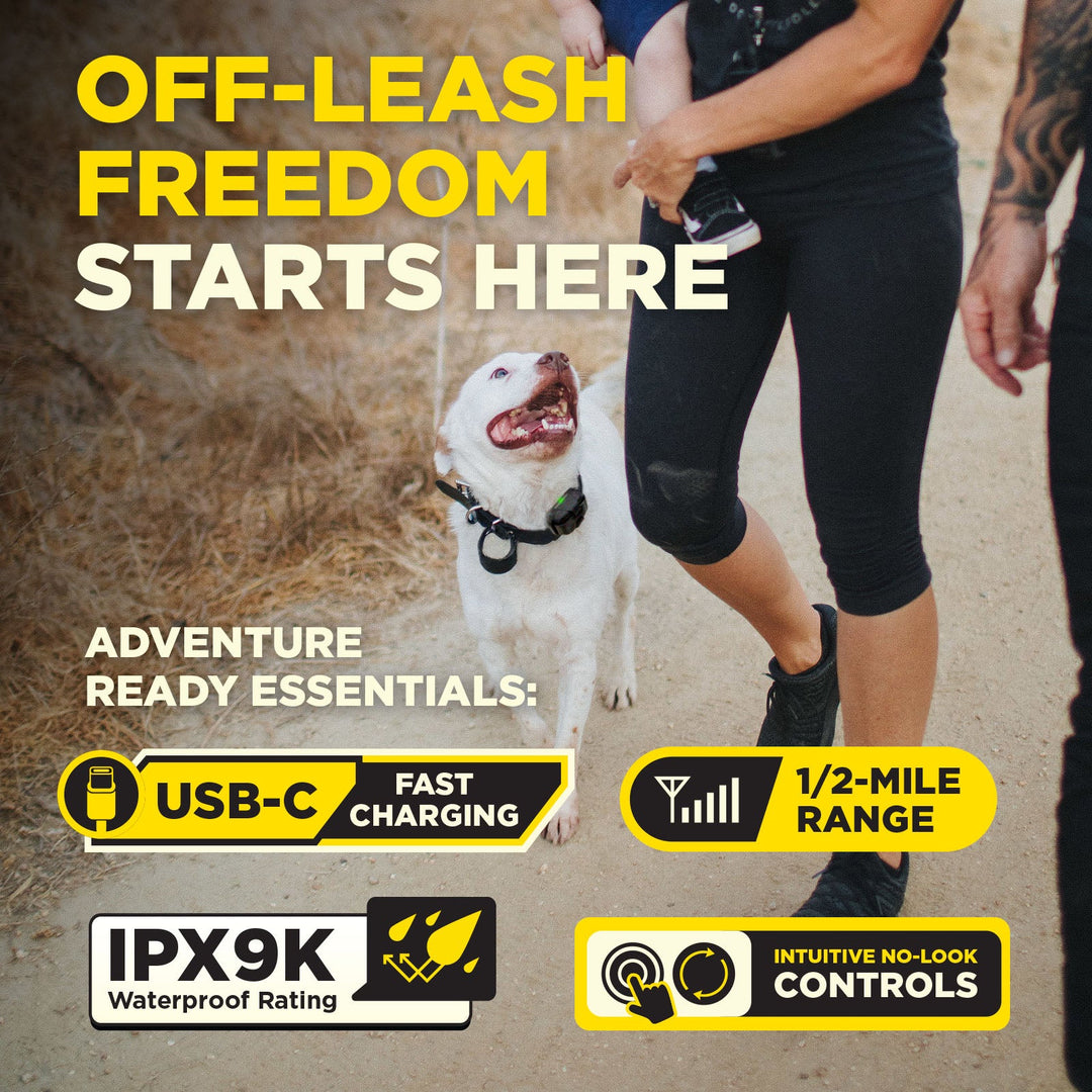 Dogtra 200iQ 1-DOG Unit - - Training collars by Dogtra