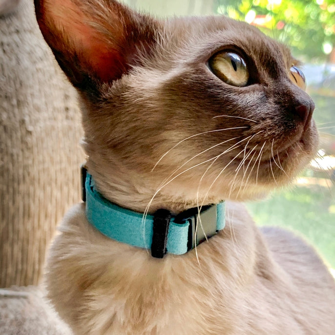 Sleepypod Comfort Suede Breakway Collar for Cats - - Collar by Sleepypod