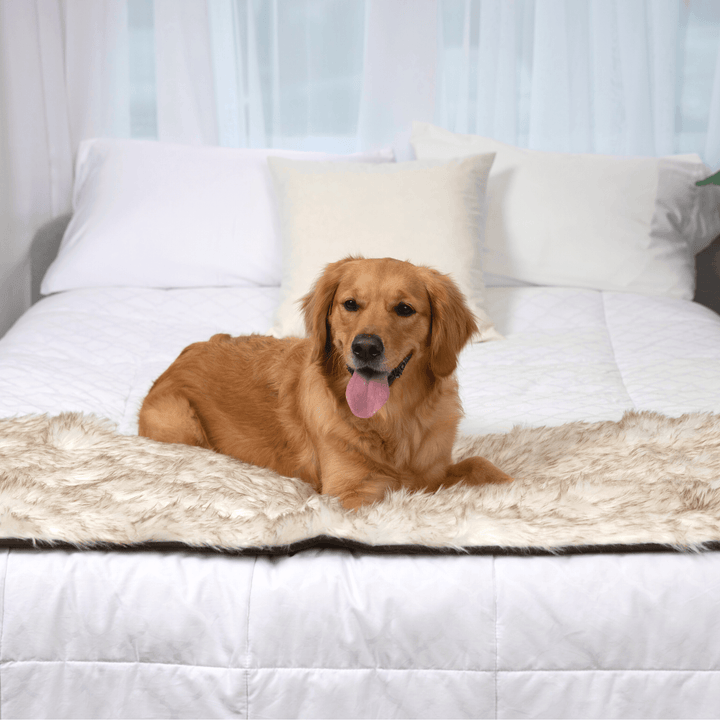 PupProtector™ Waterproof Bed Runner - White with Brown Accents - - Dog Blanket by Paw.com
