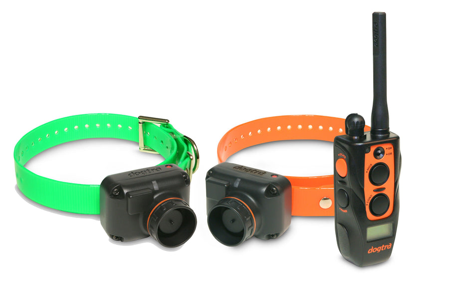Dogtra Train & Beep 2-Dog System - - Training collars by Dogtra