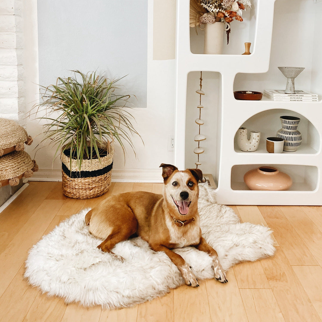 PupRug by Paw.com® Faux Fur Orthopedic Dog Bed - Curve White with Brown Accents - Medium (40" L x 25" W) - Dog Beds by Paw.com