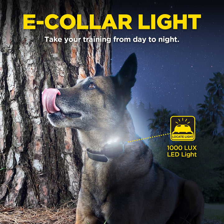 Dogtra 280X/200iQ Additional Receiver - - by Dogtra