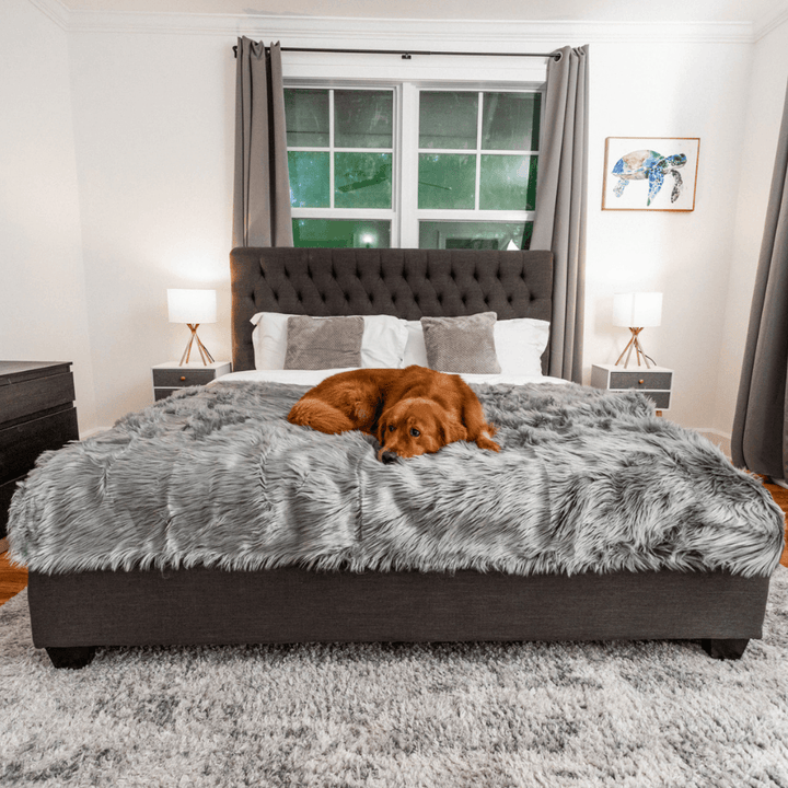 PupProtector™ Waterproof Throw Blanket - Charcoal Grey - Large (80"L x 62"W) - Dog Blanket by Paw.com
