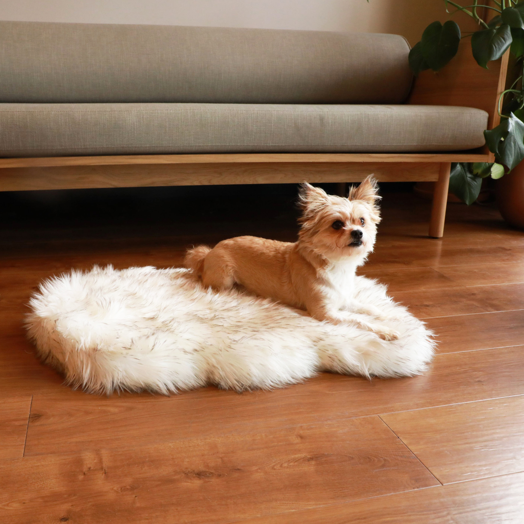 PupRug by Paw.com® Faux Fur Orthopedic Dog Bed - Curve White with Brown Accents - Small (30" L x 20" W) - Dog Beds by Paw.com