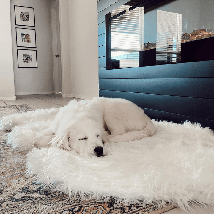 PupRug by Paw.com® Faux Fur Orthopedic Dog Bed - Curve Polar White - - Dog Beds by Paw.com