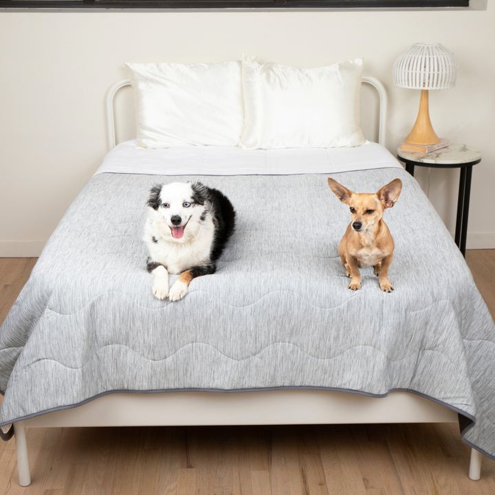 PupChill™ Cooling Waterproof Blanket - Arctic Grey - Large (60" L x 82" W) - by Paw.com