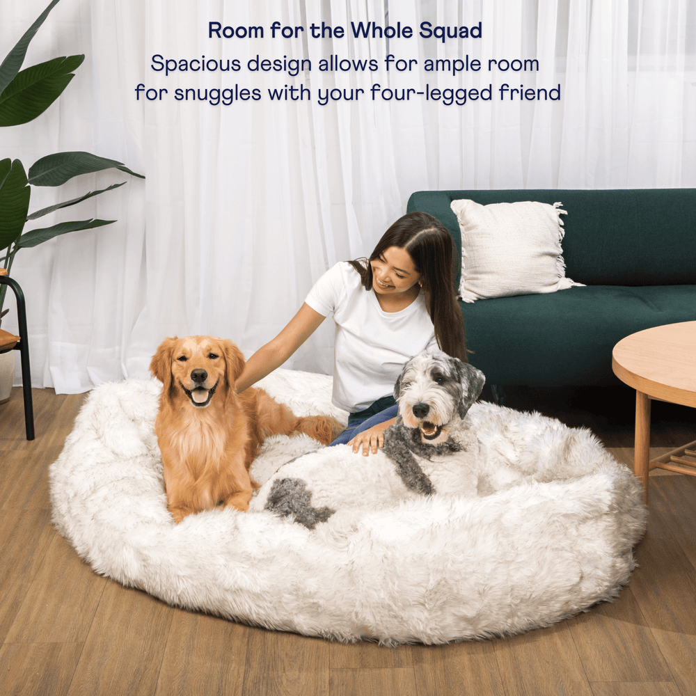 PupCloud™ Human-Size Faux Fur Memory Foam Dog Bed - White with Brown Accents - - by Paw.com