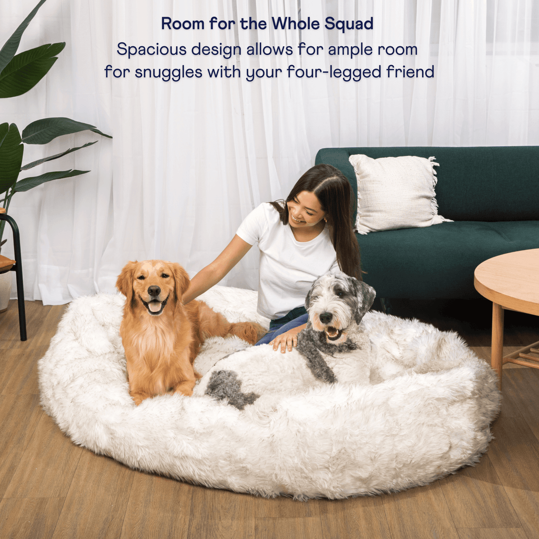 PupCloud™ Human-Size Faux Fur Memory Foam Dog Bed - White with Brown Accents - - by Paw.com