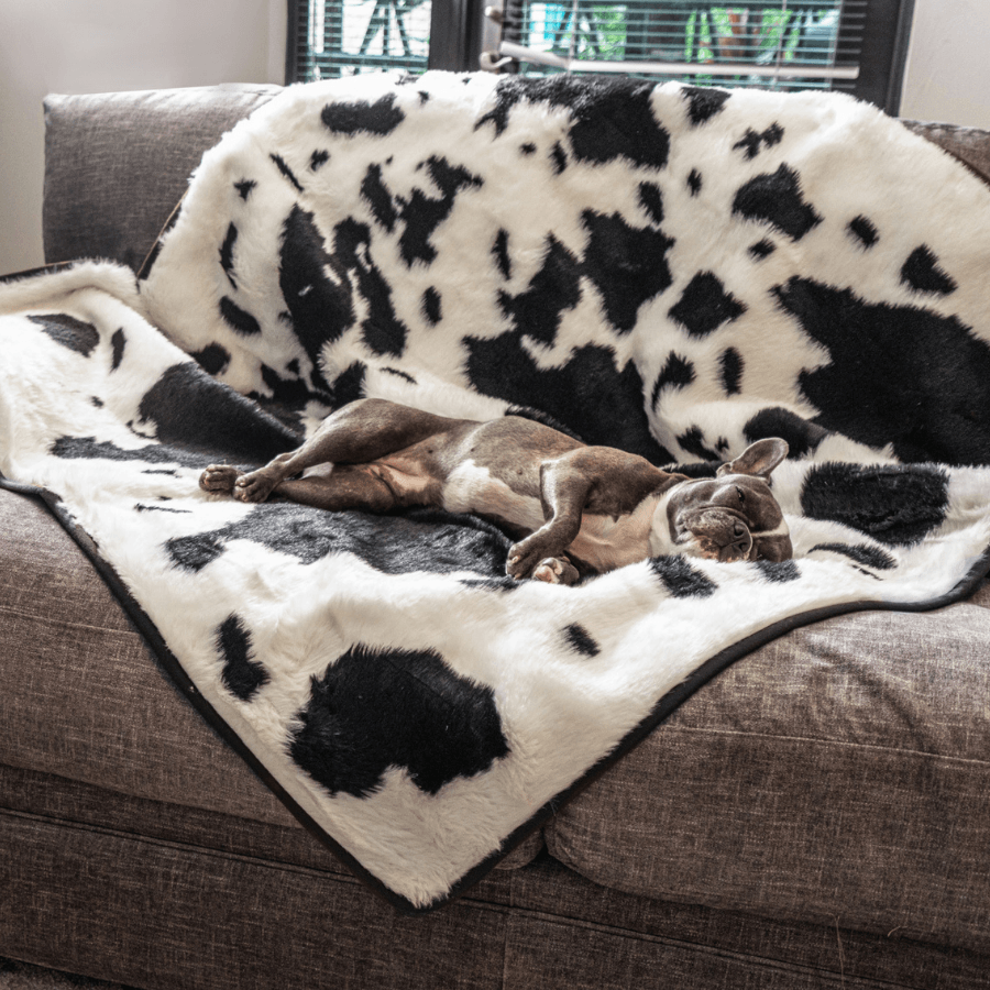 PupProtector™ Waterproof Throw Blanket - Black Faux Cowhide - - Dog Blanket by Paw.com