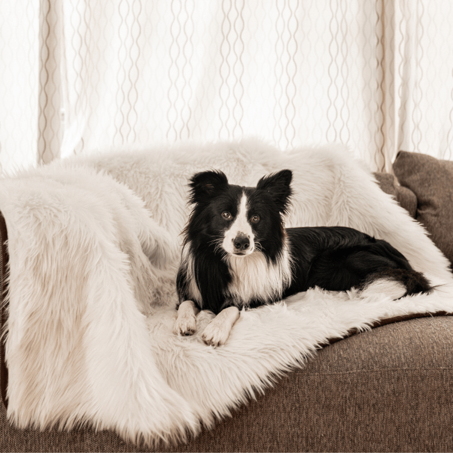 PupProtector™ Waterproof Throw Blanket - Polar White - - Dog Blanket by Paw.com