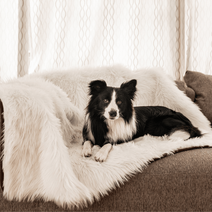 PupProtector™ Waterproof Throw Blanket - Polar White - - Dog Blanket by Paw.com