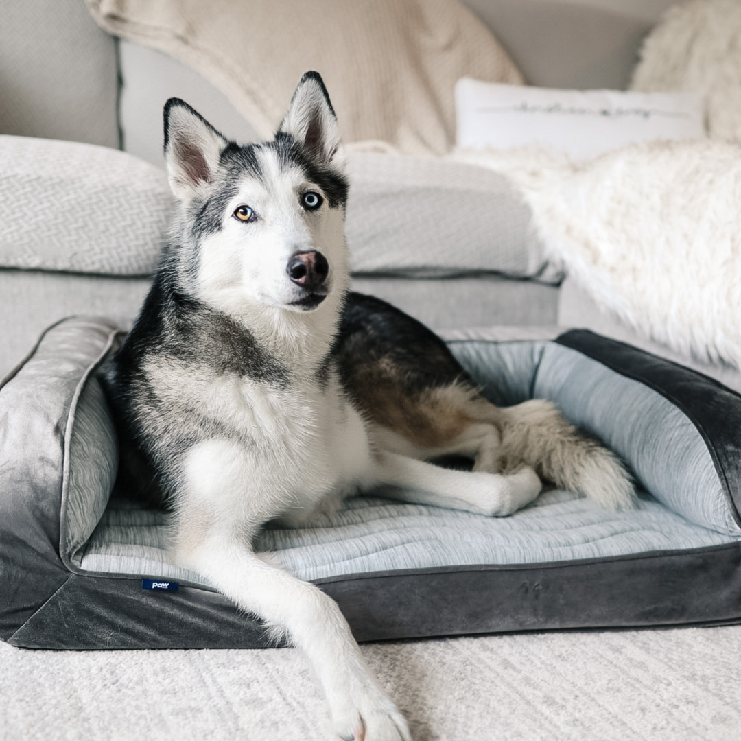 PupChill™ Cooling Bolster Dog Bed - - by Paw.com