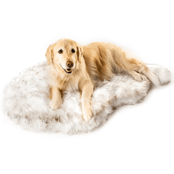 PupRug by Paw.com® Faux Fur Orthopedic Dog Bed - Curve White with Brown Accents - - Dog Beds by Paw.com