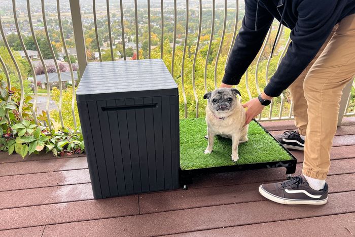 K9 Kennel Store Quick N Clean Potty Station - - Potty Station by K9 Kennel Store