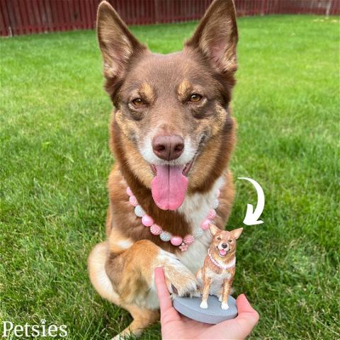 Petsies Custom Pet Figurines & Bobbleheads