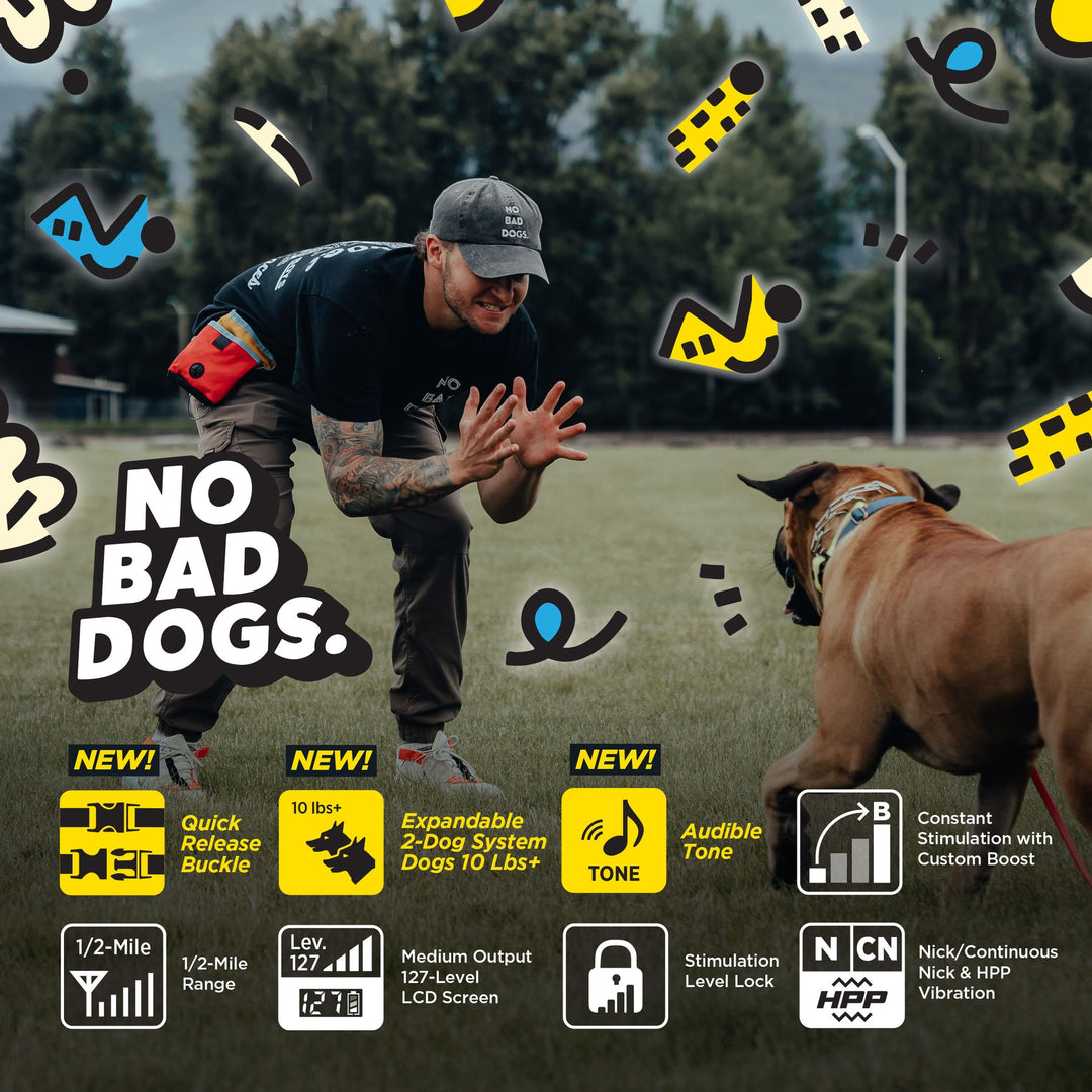 Dogtra Tom Davis Edition 280C 2.0 - - by Dogtra