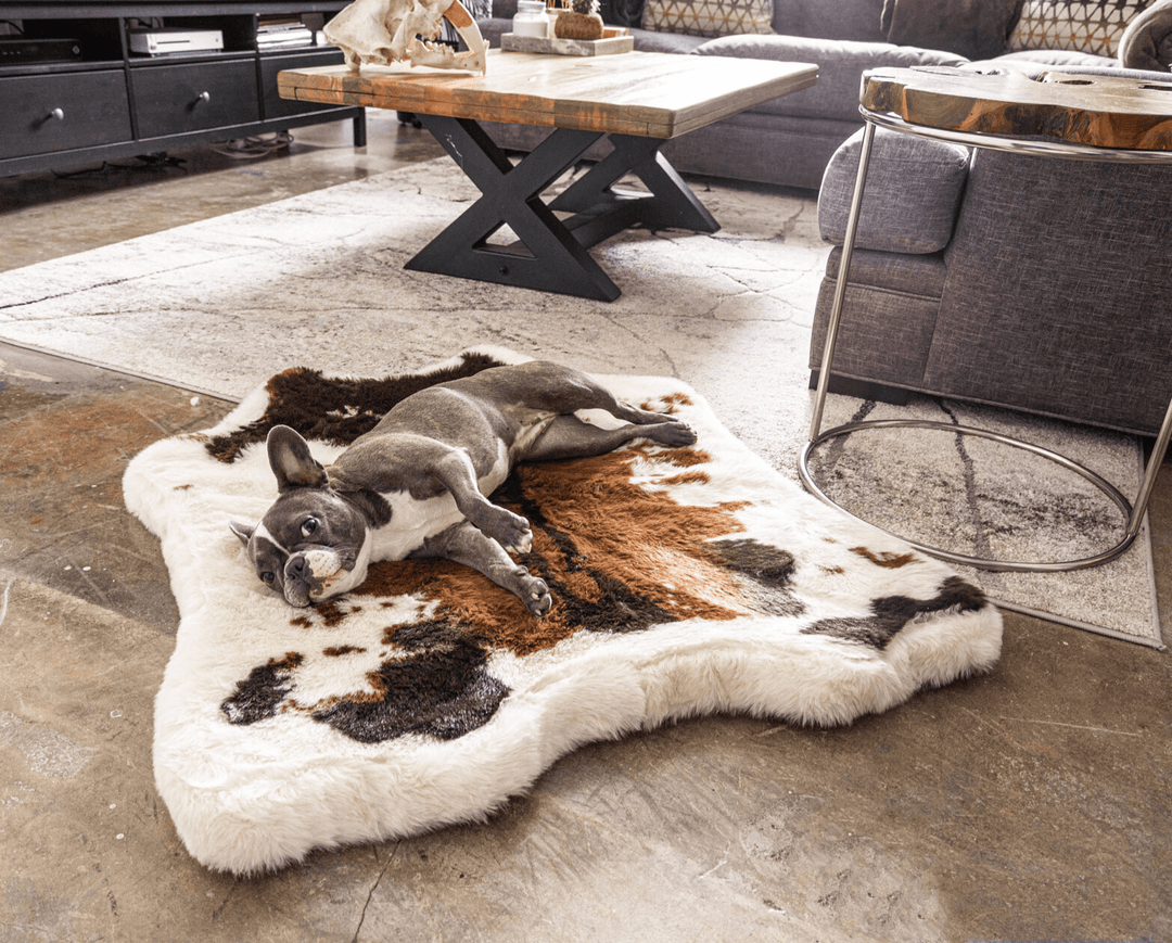 PupRug® Animal Print Memory Foam Dog Bed - Brown Faux Cowhide - Junior (40" L x 35" W) - Dog Beds by Paw.com