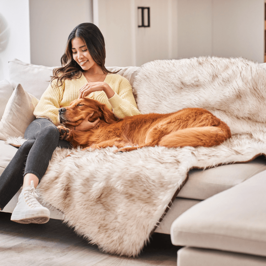 PupProtector™ Waterproof Throw Blanket - White with Brown Accents - - Dog Blanket by Paw.com