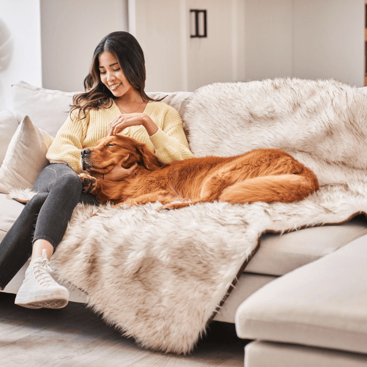 PupProtector™ Waterproof Throw Blanket - White with Brown Accents - - Dog Blanket by Paw.com